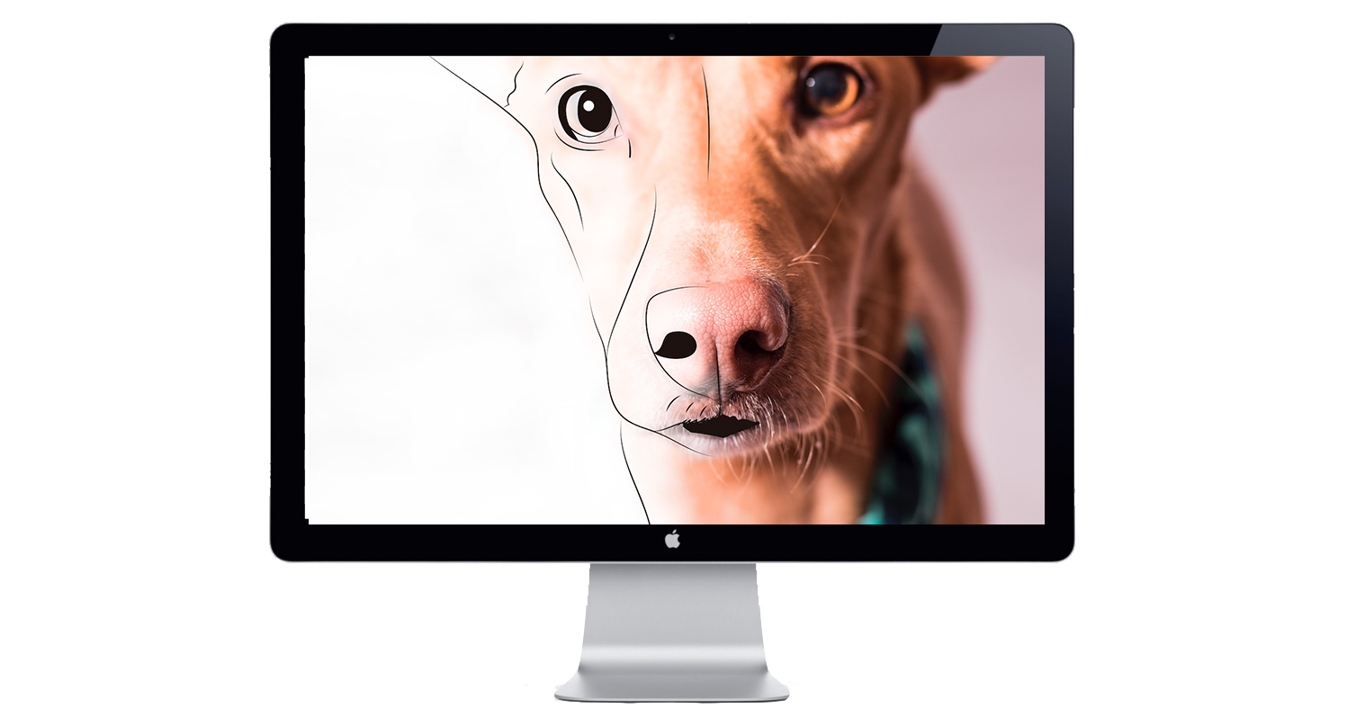 Diseño web para Alma Animal, proyecto de Rioja Creativa